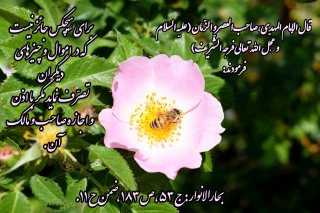 اجازه صاحب